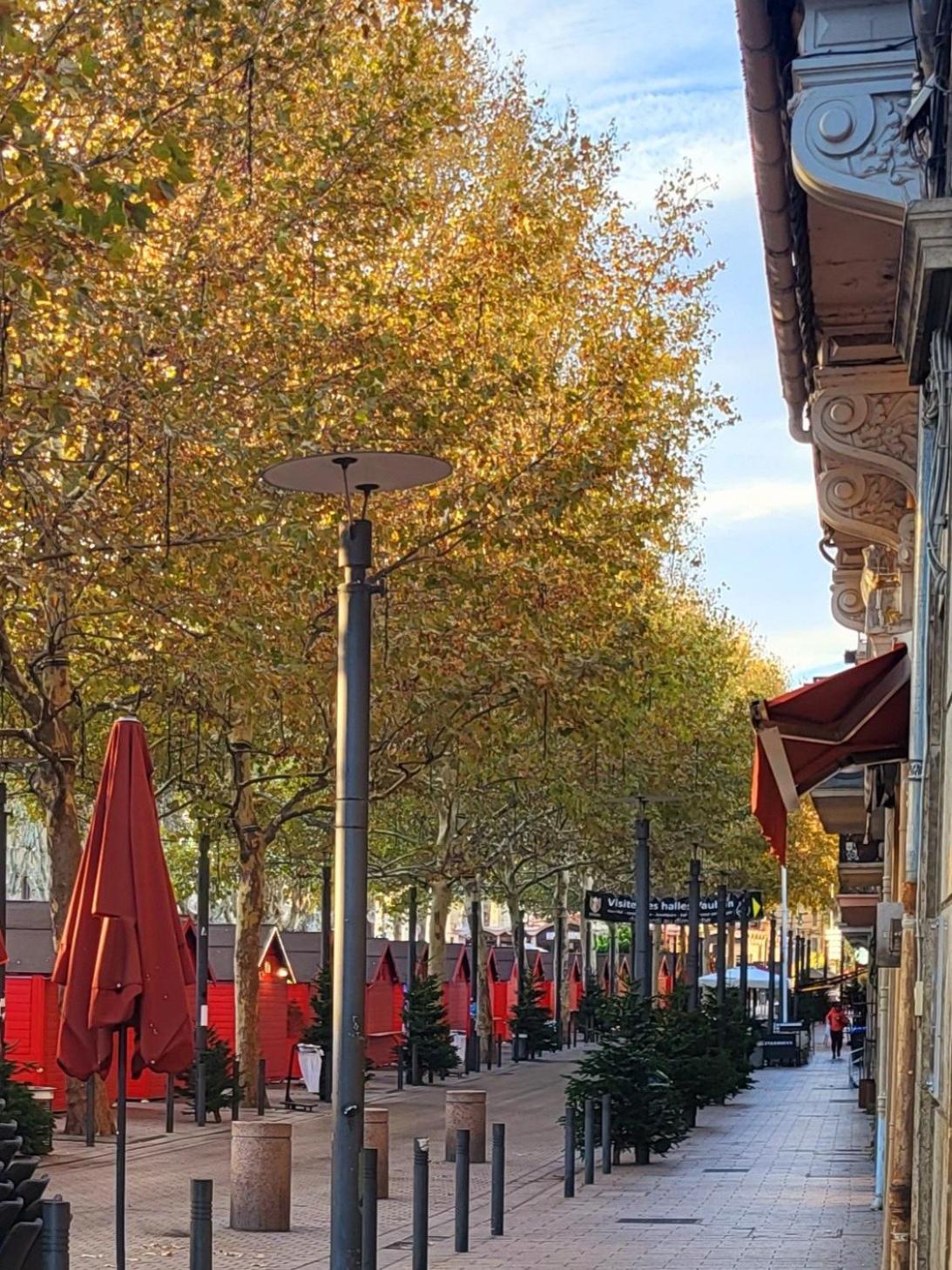 Superbe Batisse De Caractere, Coeur De Ville Perpignan Ngoại thất bức ảnh