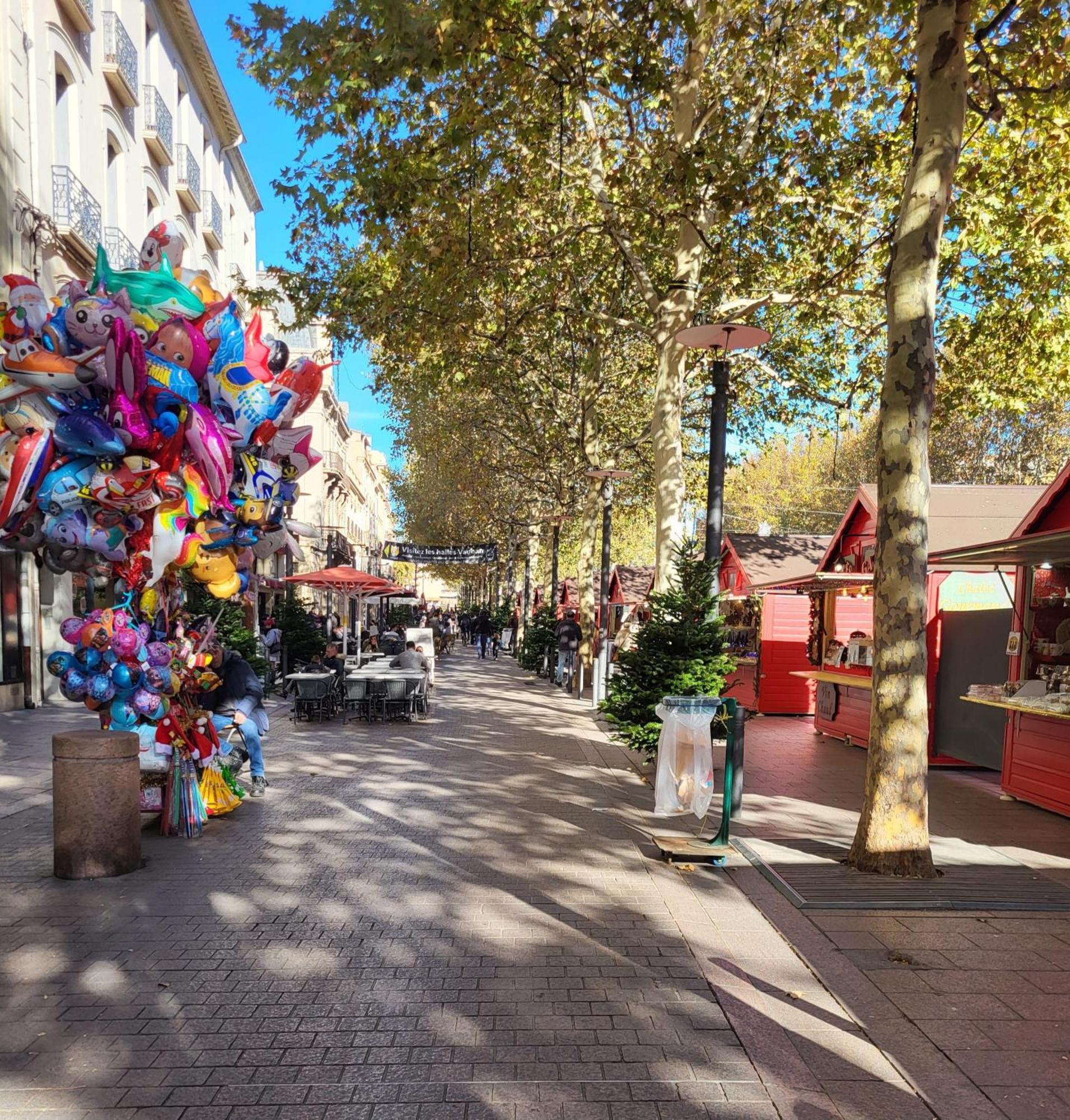 Superbe Batisse De Caractere, Coeur De Ville Perpignan Ngoại thất bức ảnh